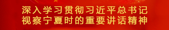 深入學(xué)習(xí)貫徹習(xí)近平總書記 視察寧夏時(shí)的重要講話精神